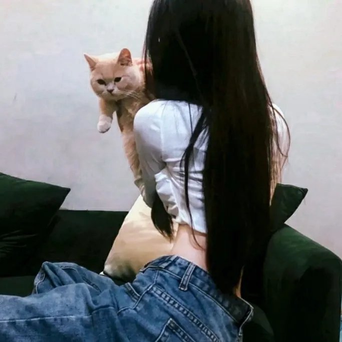醒目狗救主擒凶